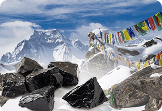 Neura Supplement Ingredients